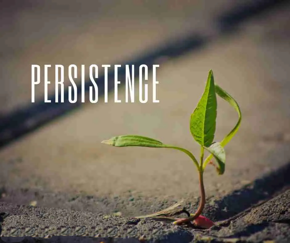 Persistence Is Better Than Genius Affirmation
